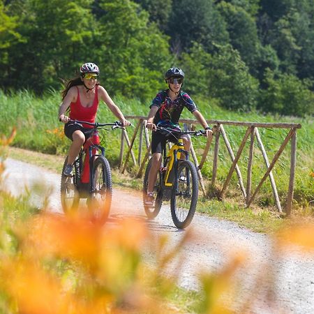 I Laghee Casette Breva E Tivano -Garden-Parking-Lake View - Bike Friendly Holiday House Colico Eksteriør billede