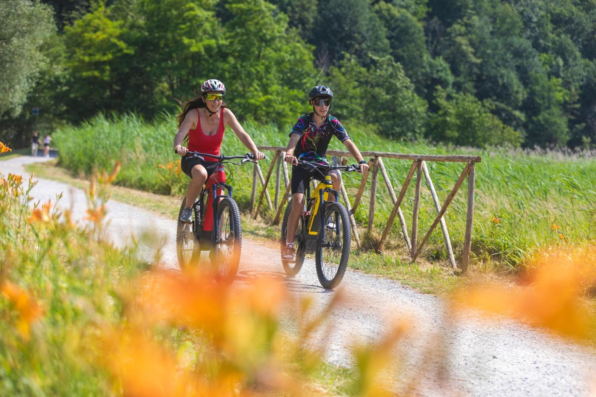 I Laghee Casette Breva E Tivano -Garden-Parking-Lake View - Bike Friendly Holiday House Colico Eksteriør billede